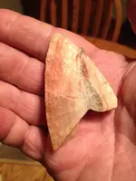 ImageUploadedByTreasureNet.com1442992260.106987.webp