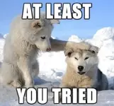 there_there_at_least_you_tried_12120.webp