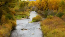fly fishing.webp