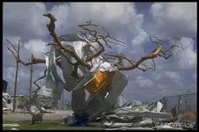damage-caused-by-hurricane-and.webp