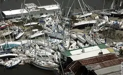 Marina.webp