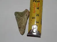 DSCN0846.webp