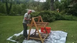 George sifting.webp