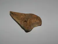 DSCN0840.webp