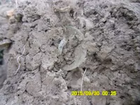 SAM_2539.webp