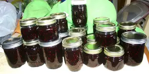 berries3.webp
