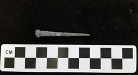 nail 2.webp