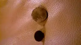 9-5buttons.webp