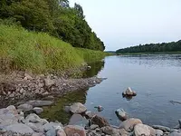 the stream.webp