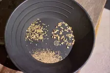 gold pan 1.webp