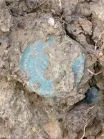 ImageUploadedByTreasureNet.com1441491139.589009.webp