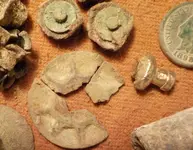 DSCN1709.webp
