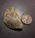 brass find1.webp