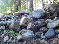 DSC04094.webp