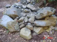 DSC04096.webp
