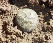 DSCN1554.webp