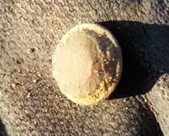 DSCN1556.webp