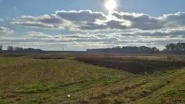 83b7e26780d9.webp