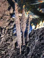 cbe743388d66.webp
