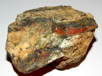 DSCN0848.webp