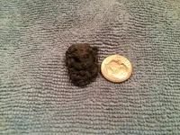 IMG_1151[1].webp