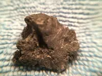 IMG_1152[1].webp