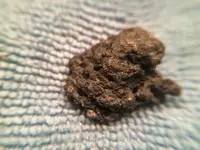 IMG_1154[1].webp