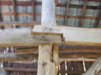 DSCF4095.webp
