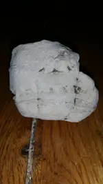 1445587655963.webp