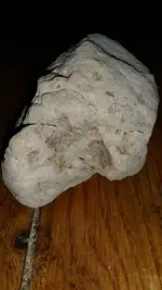 1445587667613.webp