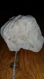 1445587677423.webp
