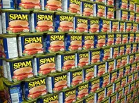 trackback-spam.webp