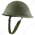 Turtle Helmet.webp