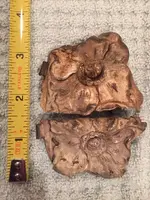 ImageUploadedByTreasureNet.com1444524468.385922.webp