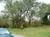 DSCF0007.webp