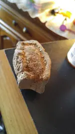 back.webp