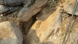 1442358859225.webp