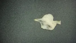 20151003_181657.webp