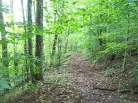 100_3775.webp