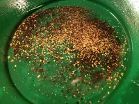SF Gold.webp