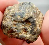 DSCN0813.webp