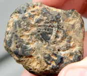 DSCN0816.webp