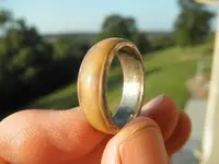 spinner3.webp