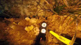 deteknix diver 90ft.webp