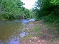 IMAGE011.webp