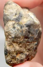 DSCN0819.webp