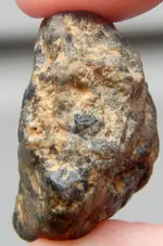 DSCN0820.webp