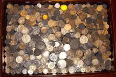 DSCN0568.webp