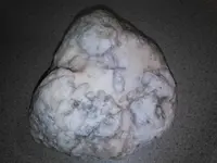 NCM_0165[1].webp