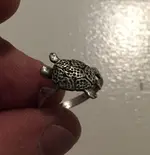 ring.webp
